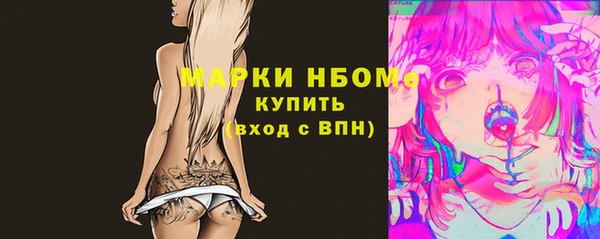 соль ск Верхний Тагил