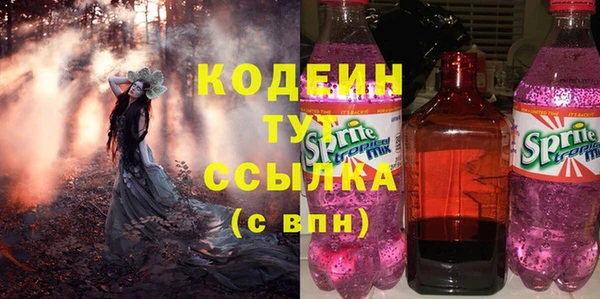 соль ск Верхний Тагил