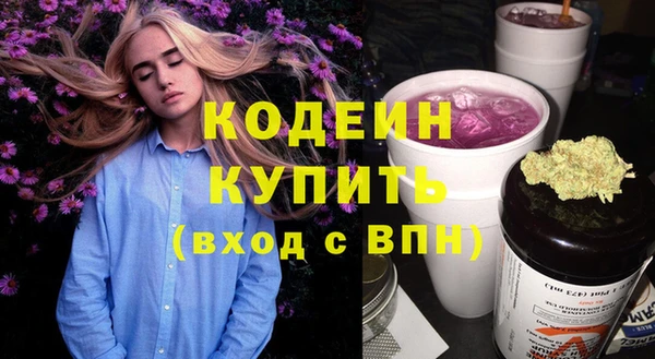 соль ск Верхний Тагил