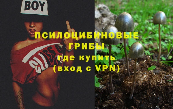 прущие грибы Верхнеуральск